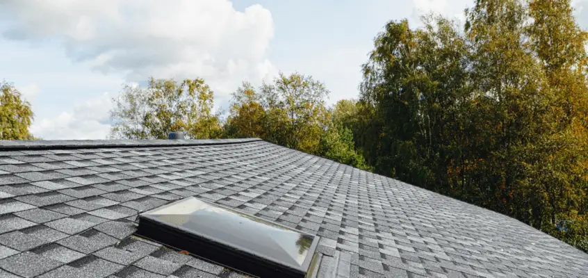Why Insurance Companies Might Drop Homeowners Due to Roof Age or Condition
